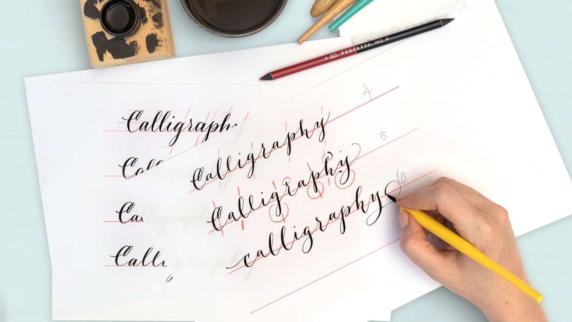 The Ultimate Lettering and Calligraphy Procreate Kit | Molly Suber Thorpe