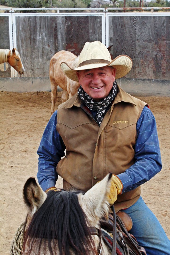 Meet Jerry Tindell: Horse and Mule Trainer, Humans Too! – SHOUTOUT LA