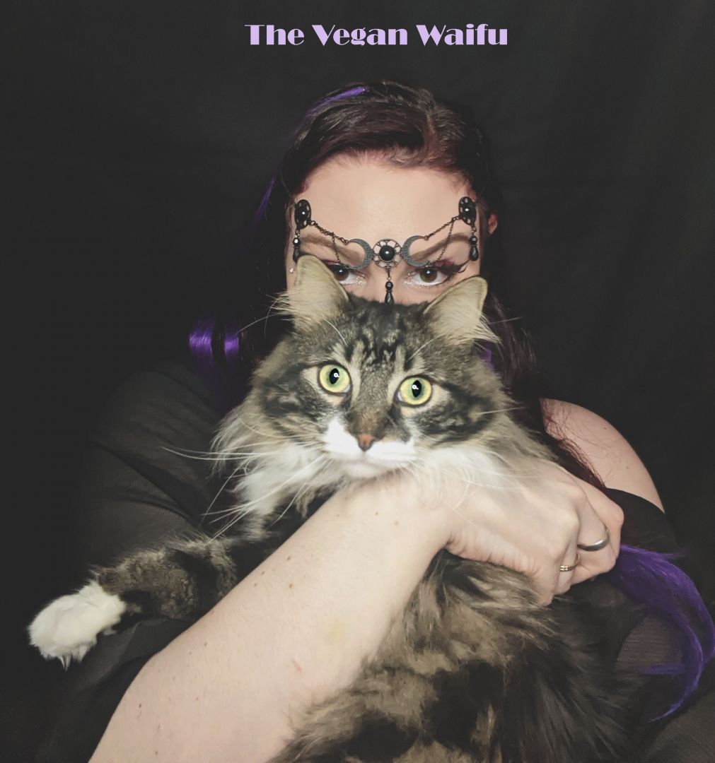 Meet Rachel Waifu | Mental Health streamer/Photographer/Comic book  artist/Vegan cook – SHOUTOUT LA