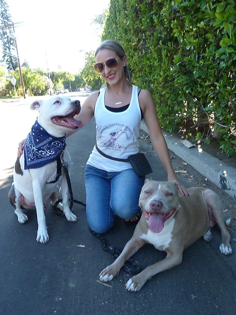 Meet Jessica Powell | Dog Trainer and Behavior Consultant – SHOUTOUT LA