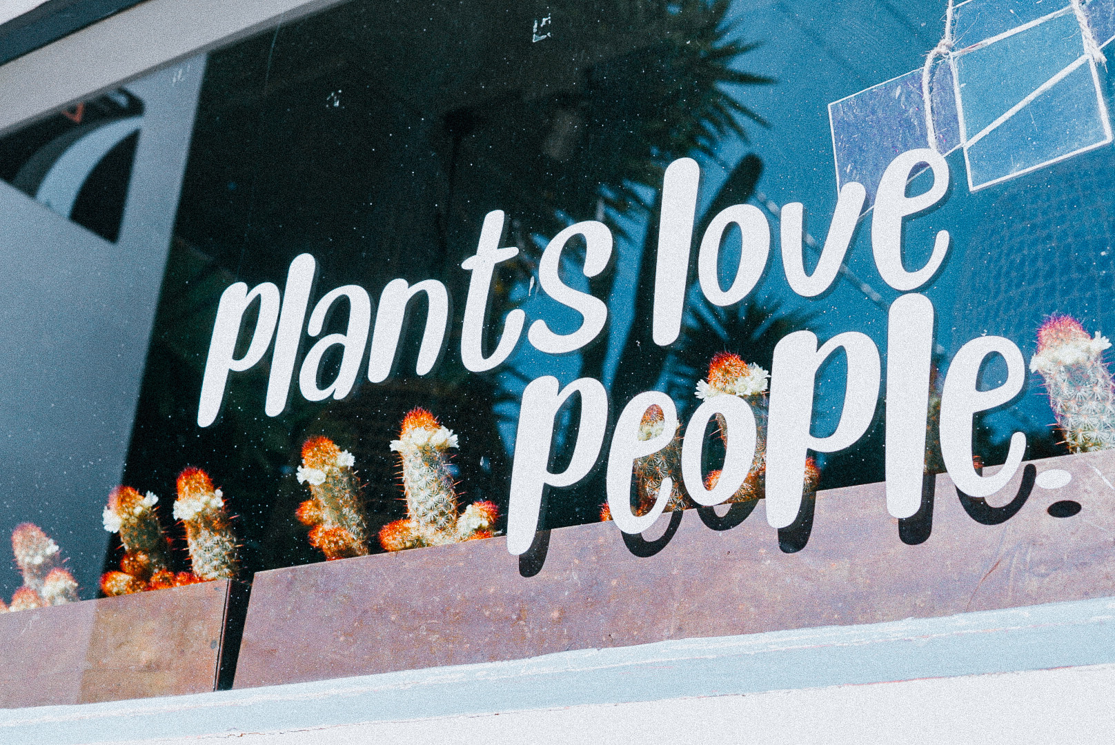 Meet Hannah Bangs | Owner/ Founder/ Plant Lady/ Artist - SHOUTOUT LA