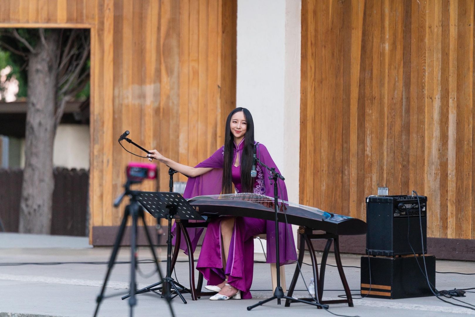 Annie zhou store guzheng