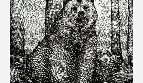 Bear sitting on ground in a forest with trees and foliage in background, detailed black and white sketch.