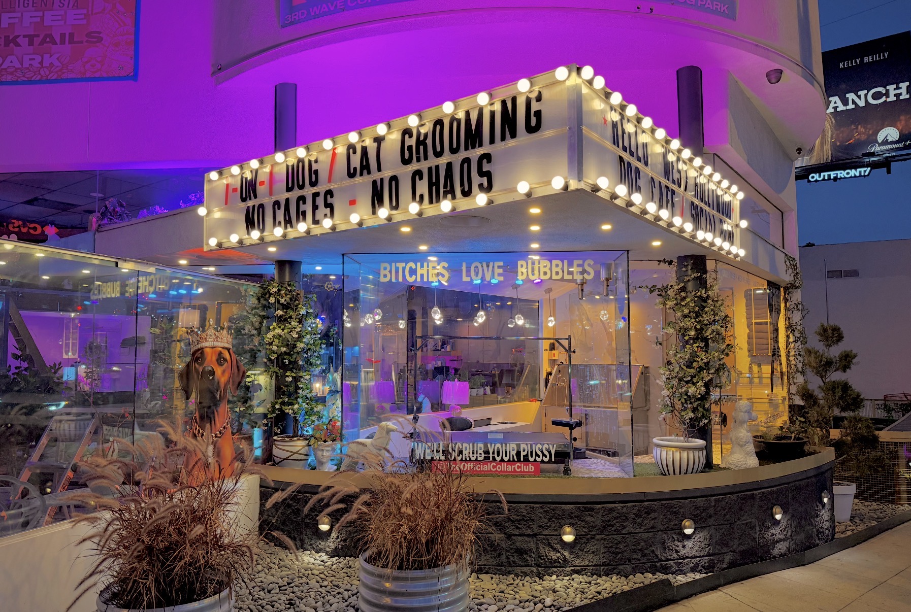 Nighttime scene of a decorated outdoor area with colorful lights, plants, and a sign with various phrases, including 'NO CHAOS'.