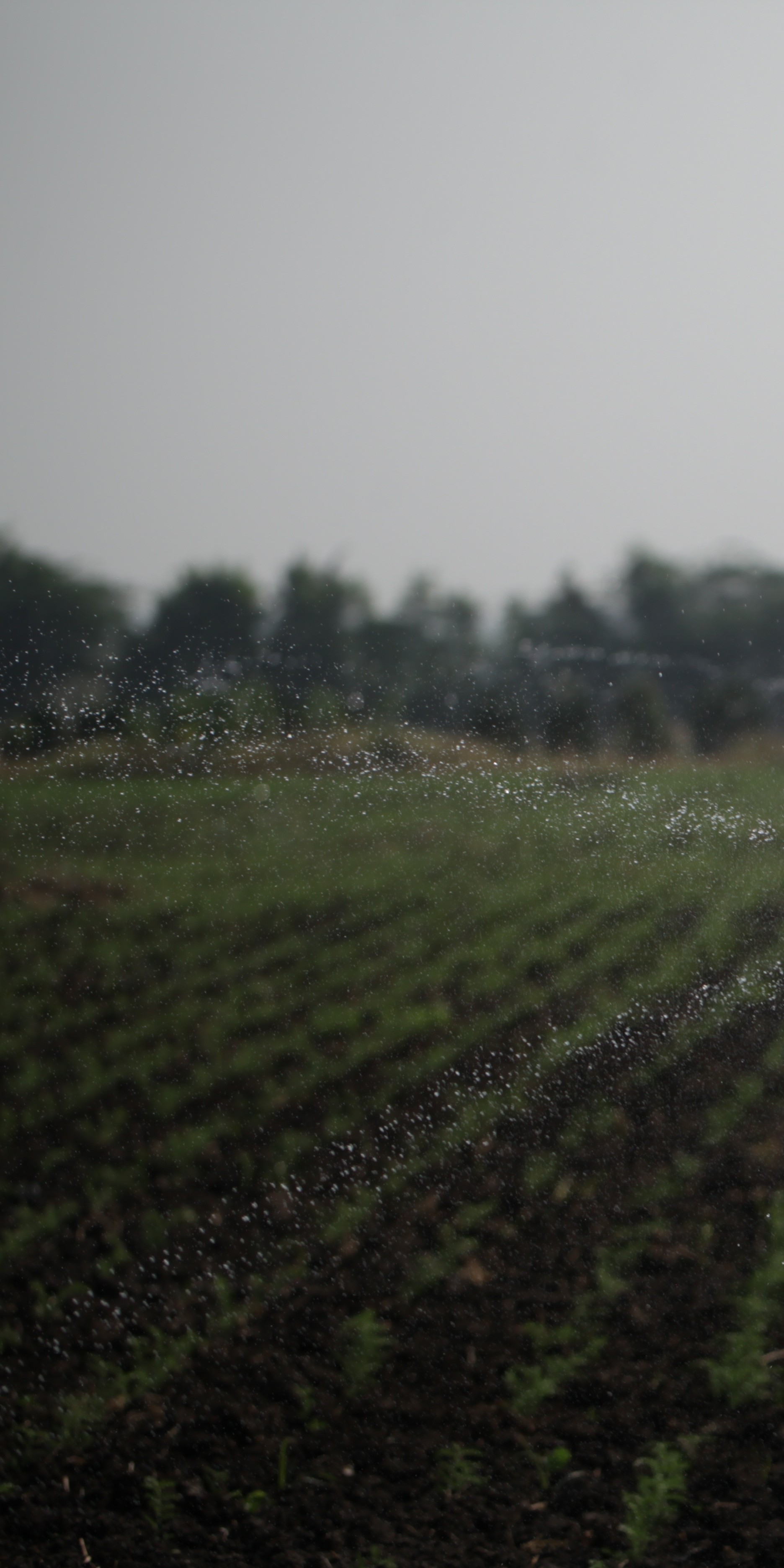 Overcast sky above a field with trees in the distance, some water droplets on the camera lens, and a grassy foreground.