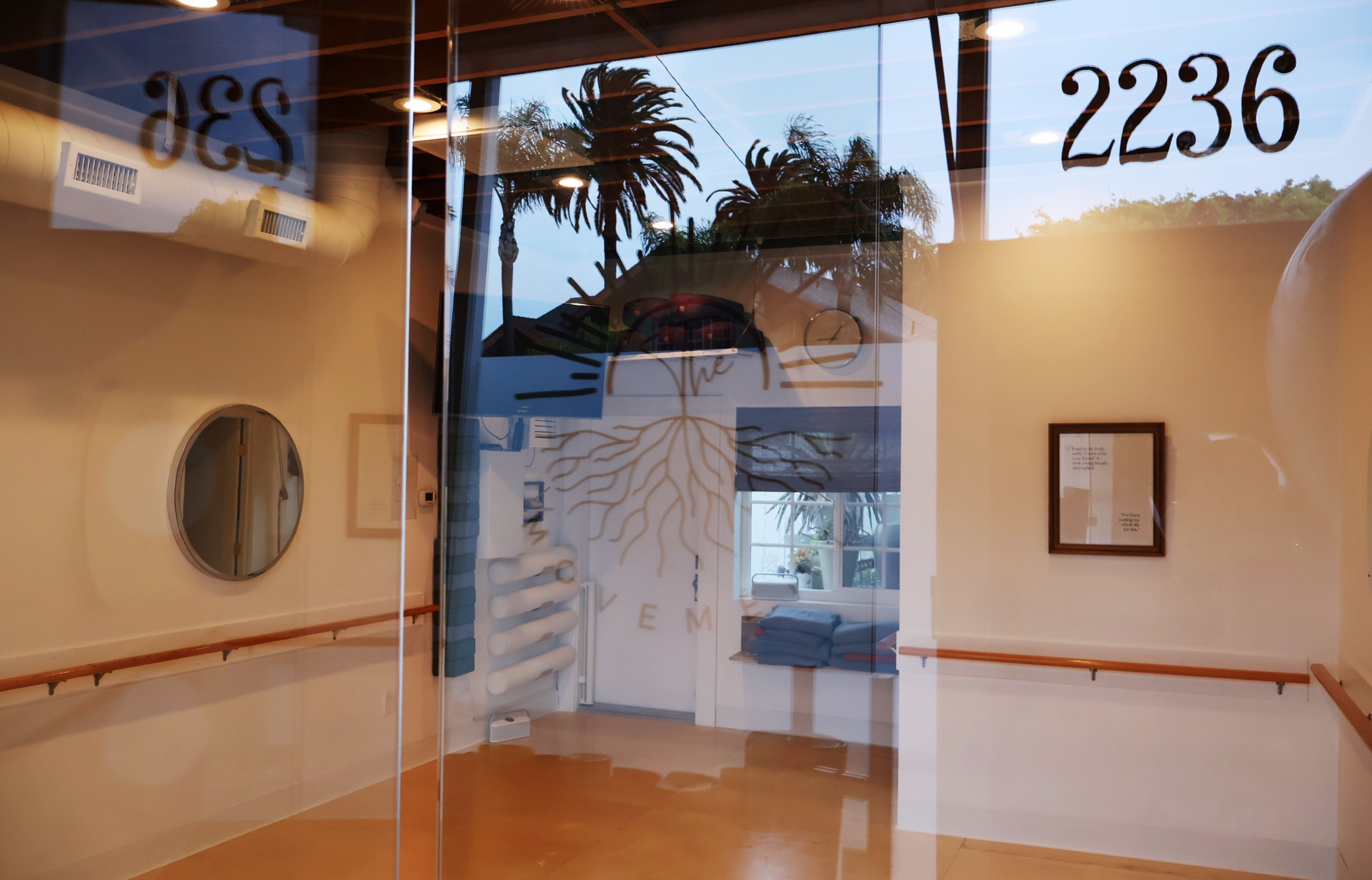 View through glass door showing palm trees outside, interior with framed picture, and a reflection of the street.