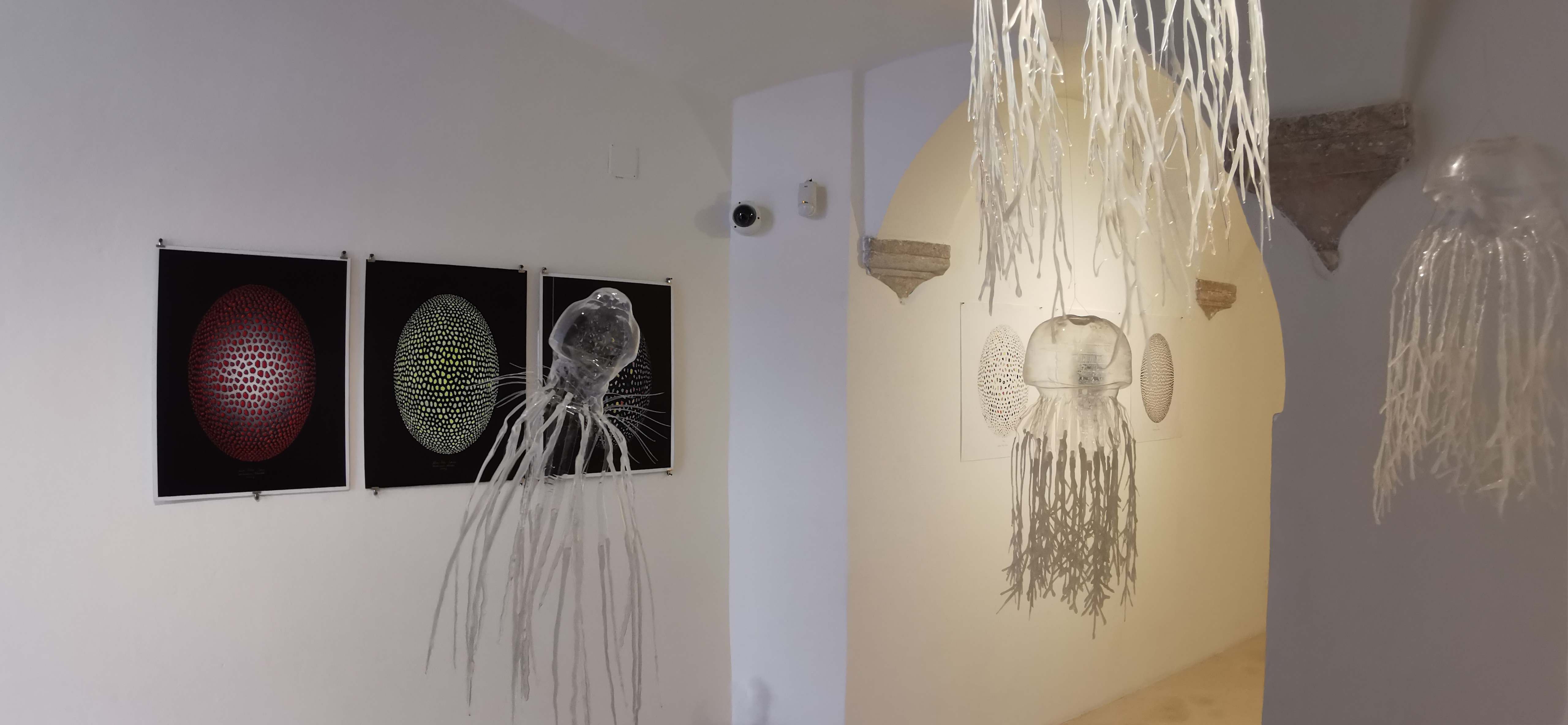 Gallery with three digital art pieces on the wall and hanging decorations resembling jellyfish or sea creatures.