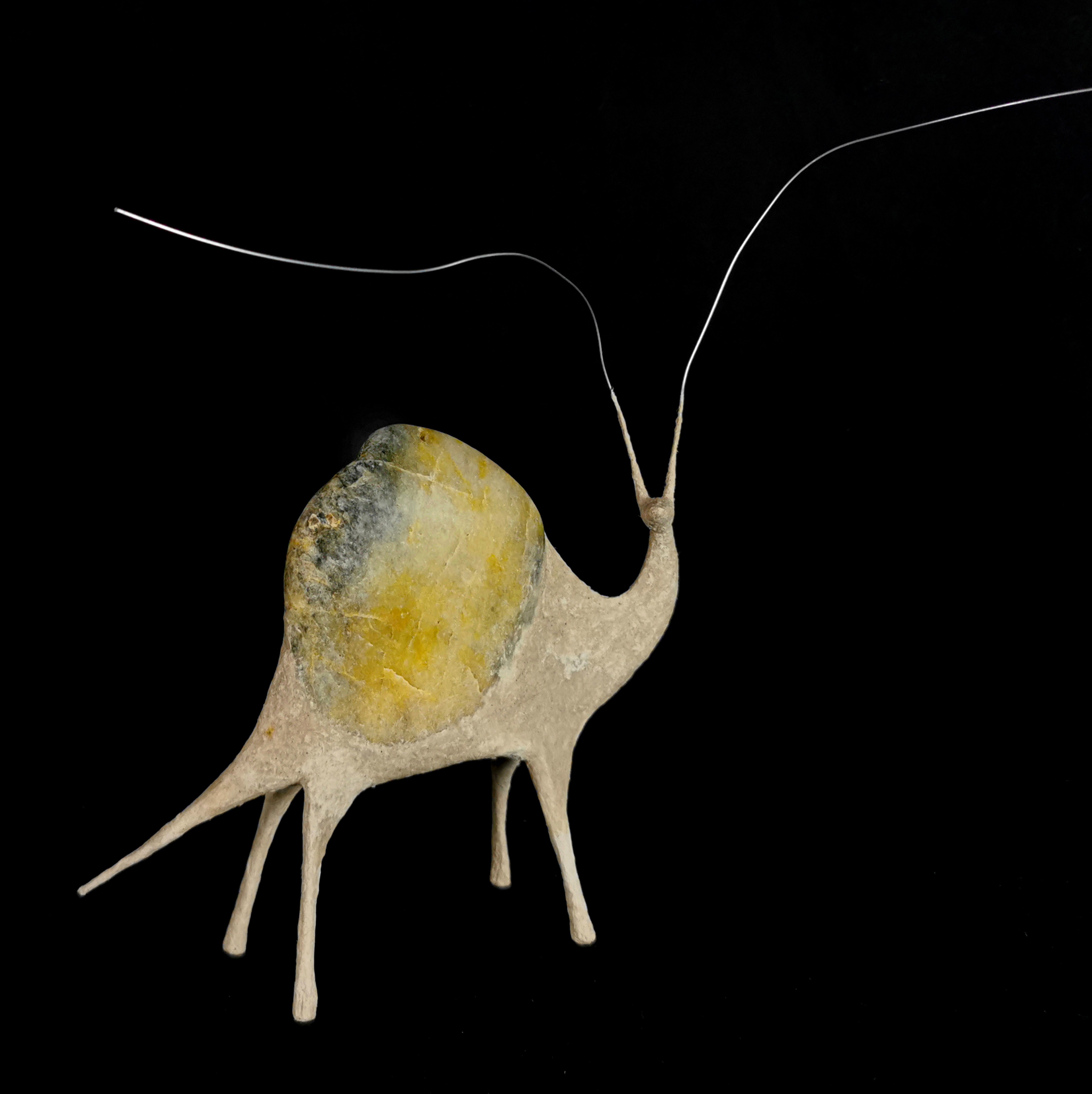 A small animal with a shell and long antennae against a black background.