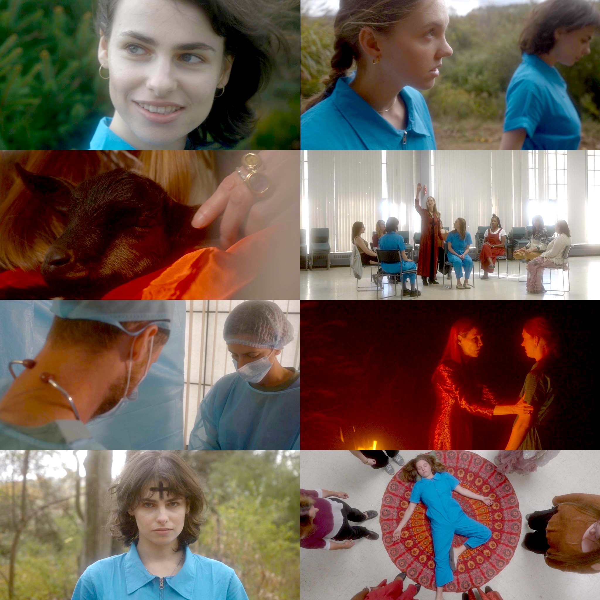 Collage of eight images showing people, a dog, and a group in a room and outdoors, with some people wearing masks.