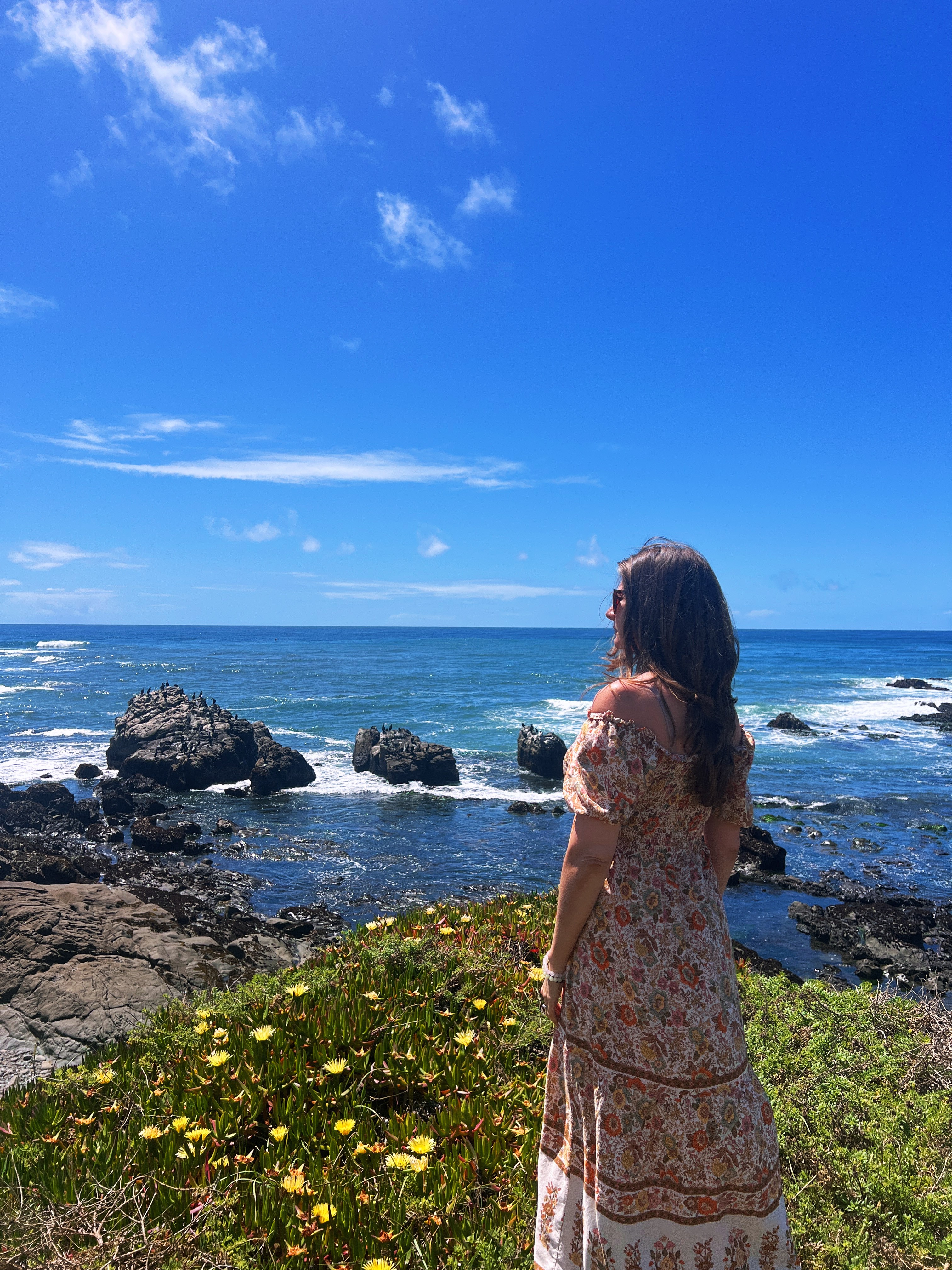 Woman in a floral dress standing on rocky shoreline with yellow flowers, ocean and blue sky in background.